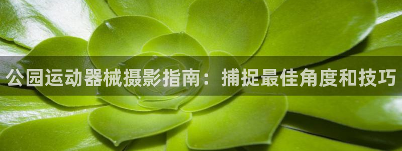 尊龙凯时网站首页手机登录：公园运动器械摄影指南：捕捉