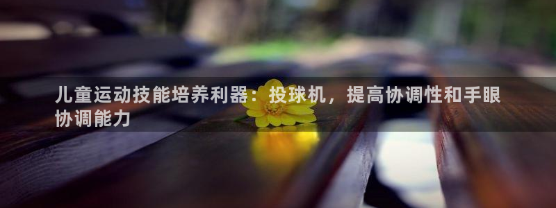 d88尊龙凯时:儿童运动技能培养利器:投球机,提高协调性和手